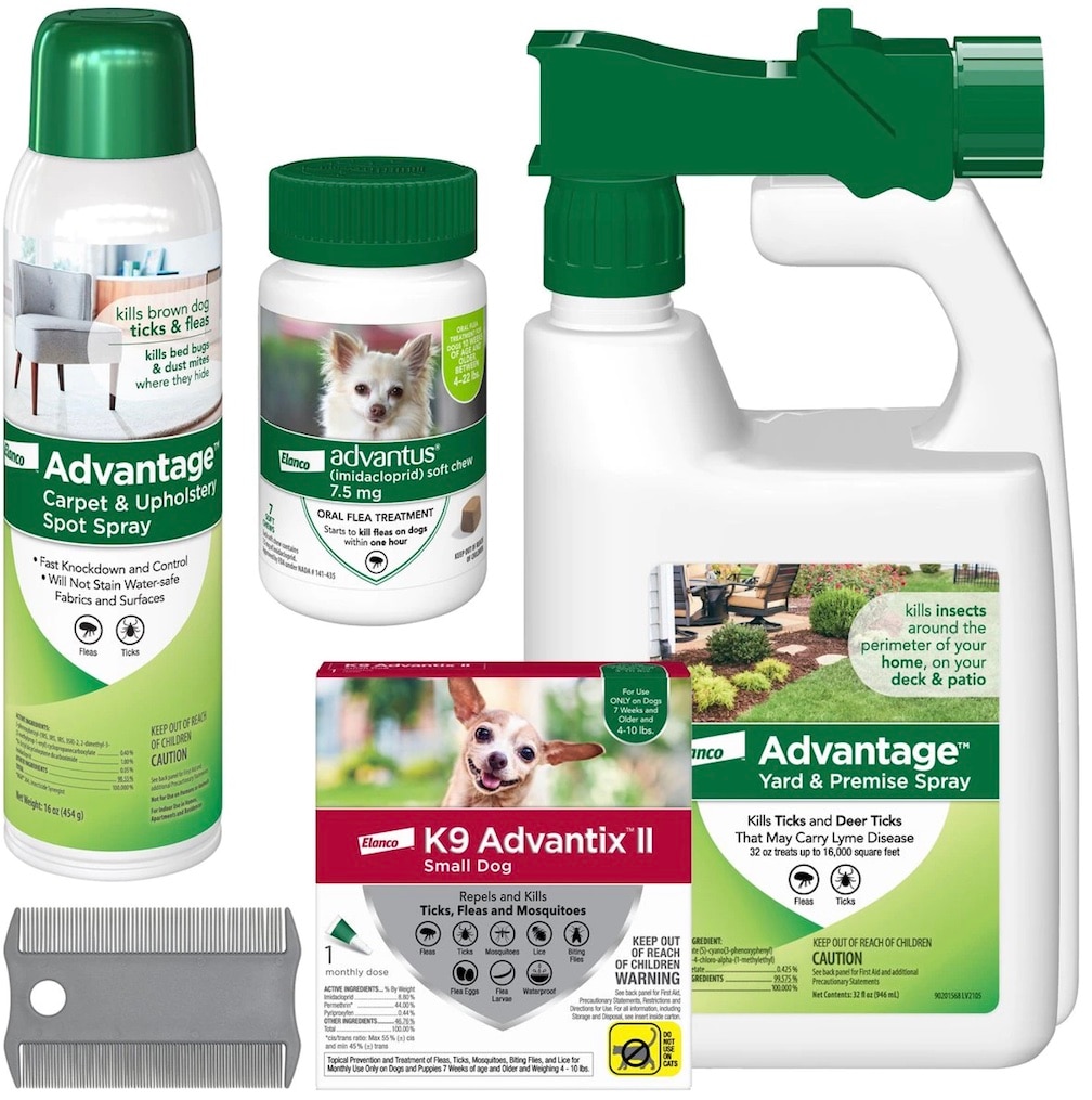 Pet friendly flea hot sale treatment for house